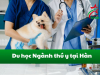 Du học ngành thú y tại Hàn: tiềm năng & cơ hội việc làm