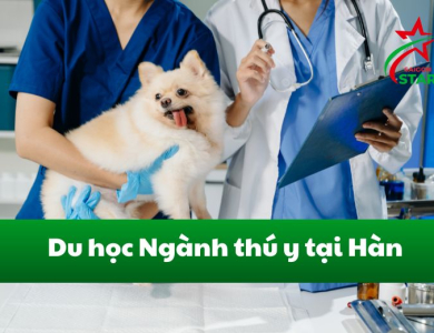 Du học ngành thú y tại Hàn: tiềm năng & cơ hội việc làm